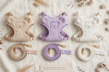 Cute Teddy Bear Cat Harness & Leash Set - Size S - Soft Adjustable Breathable Harness for Cats